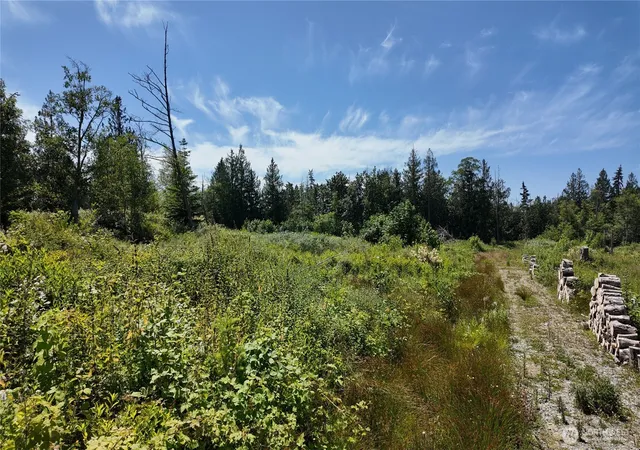 Photo 3 of Land for sale at 1 Seaview Ln, Mount Vernon, WA 98273 | MLS# NWM2529210 | Listing updated on 2026-09-21