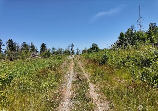 Photo 4 of Land for sale at 1 Seaview Ln, Mount Vernon, WA 98273 | MLS# NWM2529210 | Listing updated on 2026-09-21