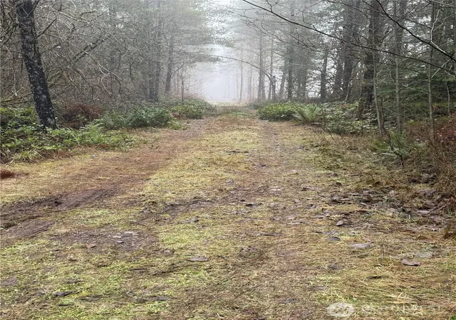 Photo 1 of Land for sale at 310 Oyler Rd, Ethel, WA 98542 | MLS# NWM2529296 | Listing updated on 2026-09-21