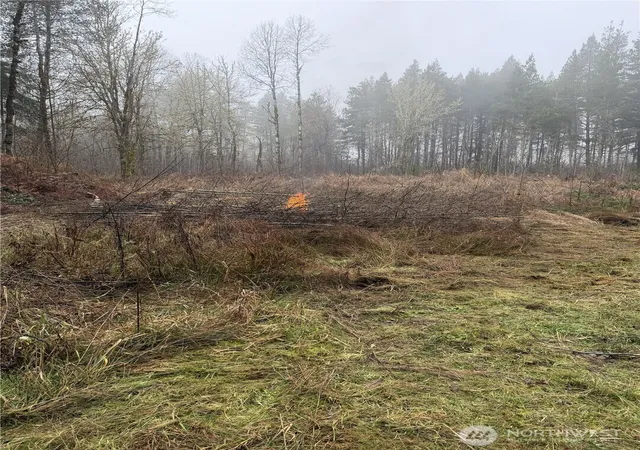 Photo 2 of Land for sale at 310 Oyler Rd, Ethel, WA 98542 | MLS# NWM2529296 | Listing updated on 2026-09-21