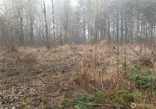 Photo 3 of Land for sale at 310 Oyler Rd, Ethel, WA 98542 | MLS# NWM2529296 | Listing updated on 2026-09-21