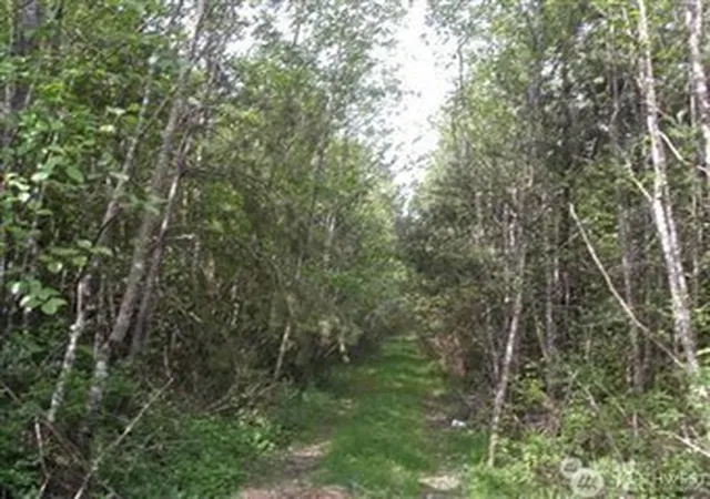 Photo 4 of Land for sale at 310 Oyler Rd, Ethel, WA 98542 | MLS# NWM2529296 | Listing updated on 2026-09-21