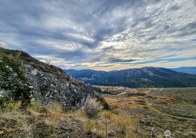 Photo 2 of Land for sale at 48 Oleander Rd, Republic, WA 99166 | MLS# NWM2529443 | Listing updated on 2026-09-25