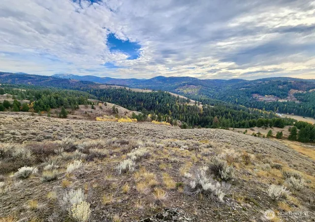 Photo 3 of Land for sale at 48 Oleander Rd, Republic, WA 99166 | MLS# NWM2529443 | Listing updated on 2026-09-25