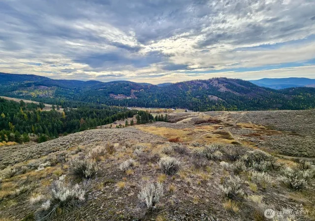 Photo 3 of Land for sale at 48 Oleander Rd, Republic, WA 99166 | MLS# NWM2529443 | Listing updated on 2026-09-25