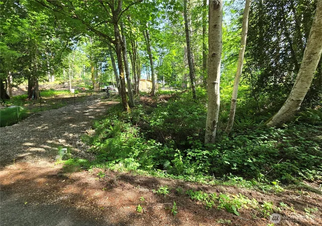 Photo 4 of Land for sale at 0 E Panorama Dr, Shelton, WA 98584 | MLS# NWM2529455 | Listing updated on 2026-09-21