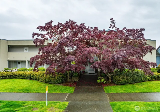 Photo 2 of Condo for sale at 4457 44th Avenue Sw #101, Seattle, WA 98116 | MLS# NWM2529673 | Listing updated on 2026-10-01