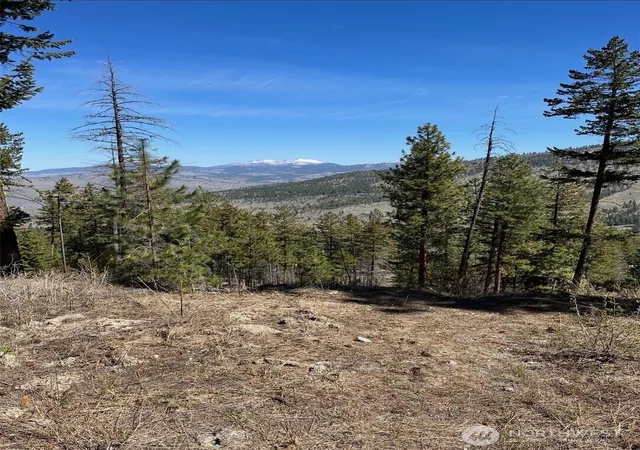 Photo 2 of Land for sale at 0 Tbd Broken Spoke Rd, Tonasket, WA 98855 | MLS# NWM2529694 | Listing updated on 2026-09-21