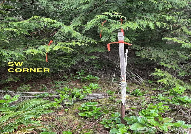 Photo 3 of Land for sale at 0 933600901, Port Townsend, WA 98368 | MLS# NWM2529899 | Listing updated on 2026-09-21