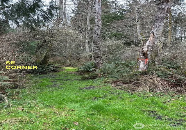 Photo 3 of Land for sale at 0 933600901, Port Townsend, WA 98368 | MLS# NWM2529899 | Listing updated on 2026-09-21