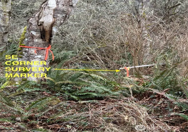 Photo 4 of Land for sale at 0 933600901, Port Townsend, WA 98368 | MLS# NWM2529899 | Listing updated on 2026-09-21
