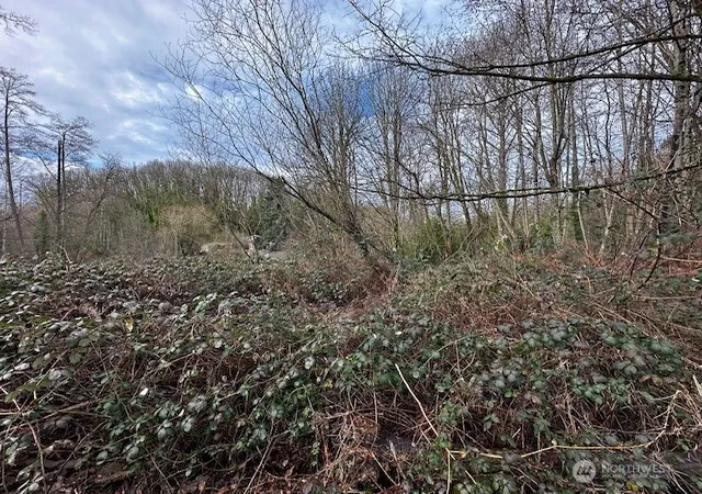 Photo 3 of Land for sale at 123 47th Avenue S, Seattle, WA 98178 | MLS# NWM2530062 | Listing updated on 2026-09-21
