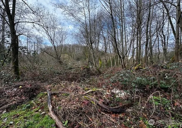 Photo 4 of Land for sale at 123 47th Avenue S, Seattle, WA 98178 | MLS# NWM2530062 | Listing updated on 2026-09-21