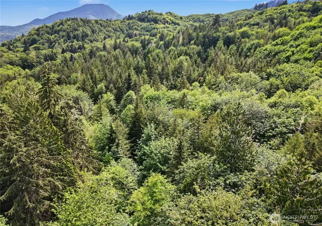 Photo 3 of Land for sale at 0 Wildwood Rd, Quilcene, WA 98376 | MLS# NWM2530233 | Listing updated on 2026-09-21