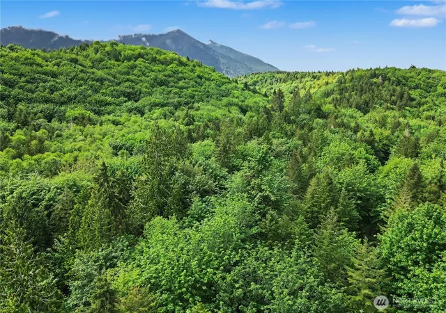 Photo 4 of Land for sale at 0 Wildwood Rd, Quilcene, WA 98376 | MLS# NWM2530233 | Listing updated on 2026-09-21