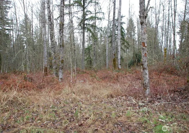 Photo 1 of Land for sale at 31809 116th Avenue E, Graham, WA 98338 | MLS# NWM2530237 | Listing updated on 2026-09-25
