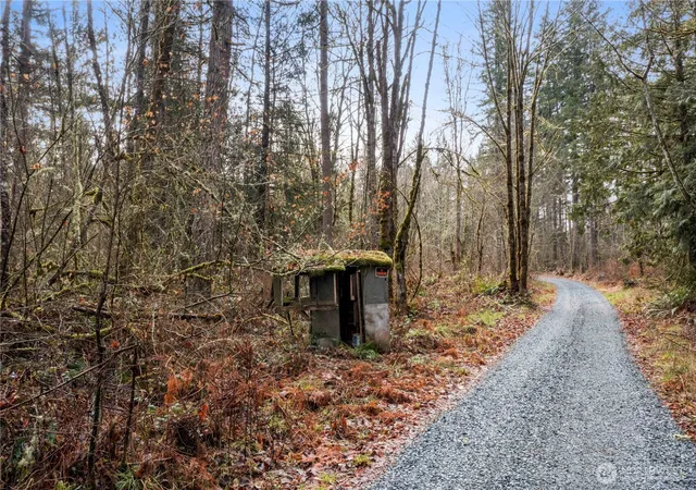Photo 2 of Land for sale at 31809 116th Avenue E, Graham, WA 98338 | MLS# NWM2530237 | Listing updated on 2026-09-25