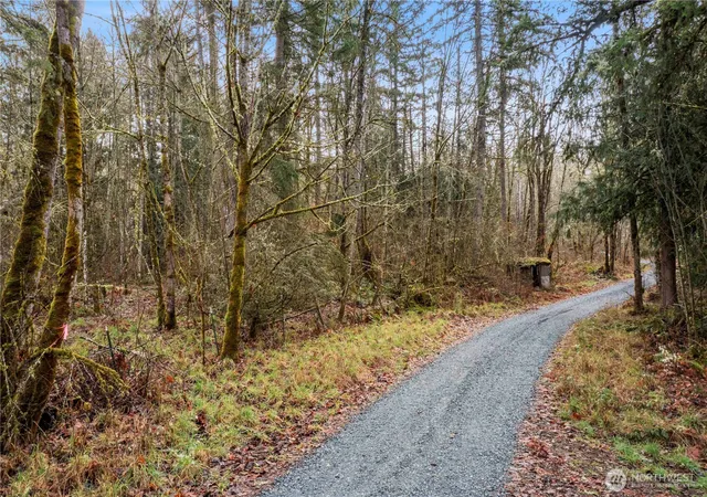 Photo 3 of Land for sale at 31809 116th Avenue E, Graham, WA 98338 | MLS# NWM2530237 | Listing updated on 2026-09-25