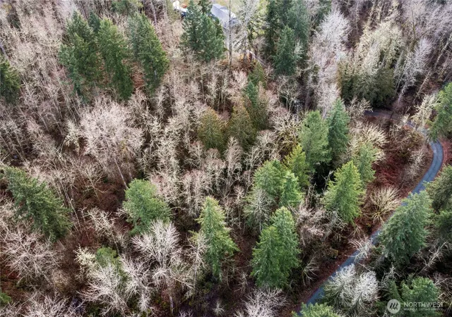 Photo 4 of Land for sale at 31809 116th Avenue E, Graham, WA 98338 | MLS# NWM2530237 | Listing updated on 2026-09-25