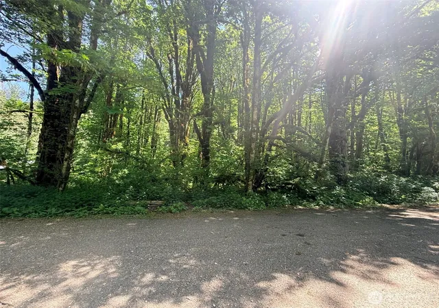 Photo 2 of Land for sale at 10204 Foss River Pl Ne, Skykomish, WA 98288 | MLS# NWM2530255 | Listing updated on 2026-09-21