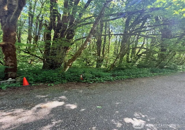 Photo 3 of Land for sale at 10204 Foss River Pl Ne, Skykomish, WA 98288 | MLS# NWM2530255 | Listing updated on 2026-09-21