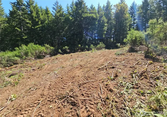 Photo 3 of Land for sale at 400 Xxx Southridge Dr, Belfair, WA 98528 | MLS# NWM2530350 | Listing updated on 2026-09-21