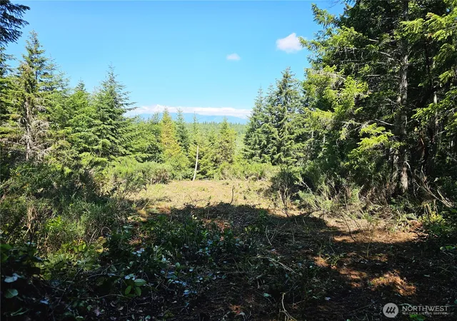 Photo 3 of Land for sale at 400 Xxx Southridge Dr, Belfair, WA 98528 | MLS# NWM2530350 | Listing updated on 2026-09-21