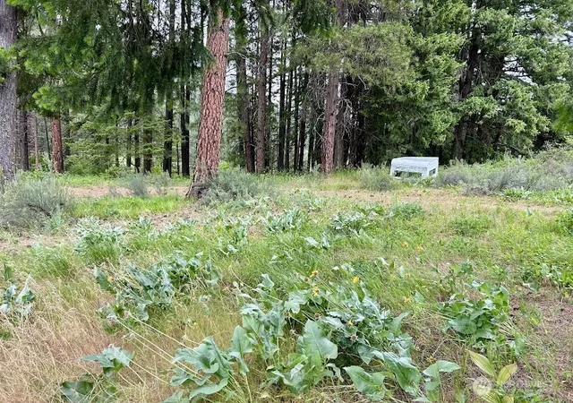 Photo 3 of Manufactured home for sale at 15425 Chumstick Hwy, Leavenworth, WA 98826 | MLS# NWM2530357 | Listing updated on 2026-09-21