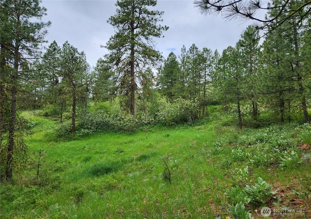 Photo 1 of Land for sale at 0 74 & 75 Gold Mt Rd, Republic, WA 99166 | MLS# NWM2530415 | Listing updated on 2026-09-21