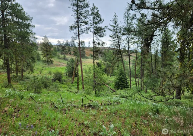 Photo 2 of Land for sale at 0 74 & 75 Gold Mt Rd, Republic, WA 99166 | MLS# NWM2530415 | Listing updated on 2026-09-21