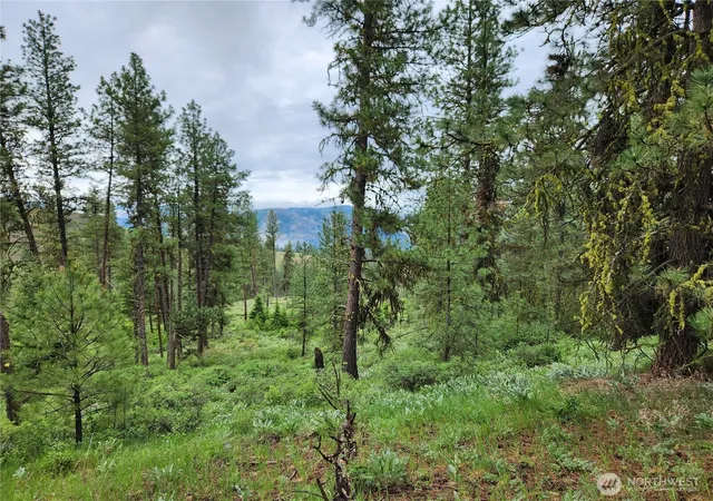 Photo 3 of Land for sale at 0 74 & 75 Gold Mt Rd, Republic, WA 99166 | MLS# NWM2530415 | Listing updated on 2026-09-21
