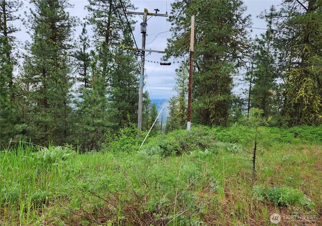 Photo 3 of Land for sale at 0 74 & 75 Gold Mt Rd, Republic, WA 99166 | MLS# NWM2530415 | Listing updated on 2026-09-21