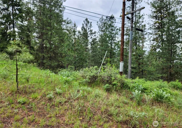 Photo 4 of Land for sale at 0 74 & 75 Gold Mt Rd, Republic, WA 99166 | MLS# NWM2530415 | Listing updated on 2026-09-21