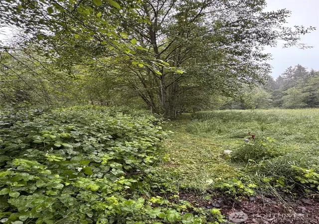 Photo 3 of Land for sale at 0 Xxxx 198th Ave NE, Redmond, WA 98053 | MLS# NWM2531072 | Listing updated on 2026-09-21