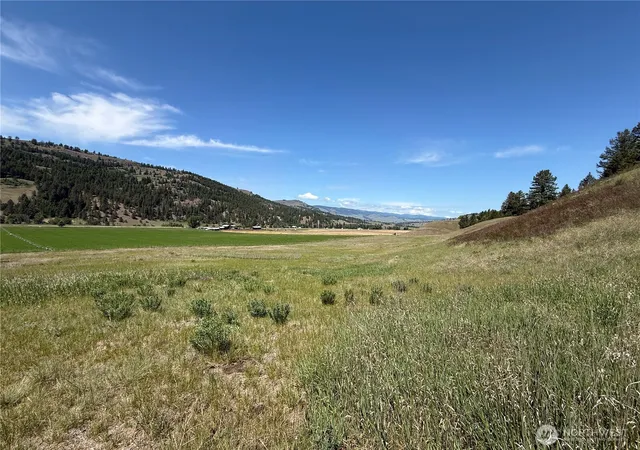Photo 2 of Land for sale at 0 Art Crk Rd, Malo, WA 99150 | MLS# NWM2531490 | Listing updated on 2026-09-21