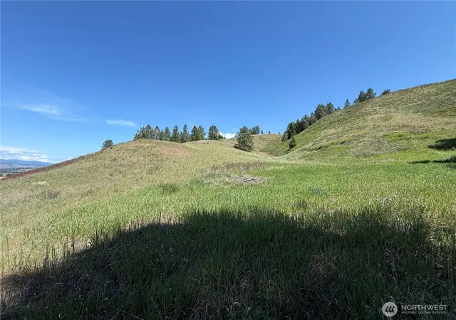 Photo 3 of Land for sale at 0 Art Crk Rd, Malo, WA 99150 | MLS# NWM2531490 | Listing updated on 2026-09-21