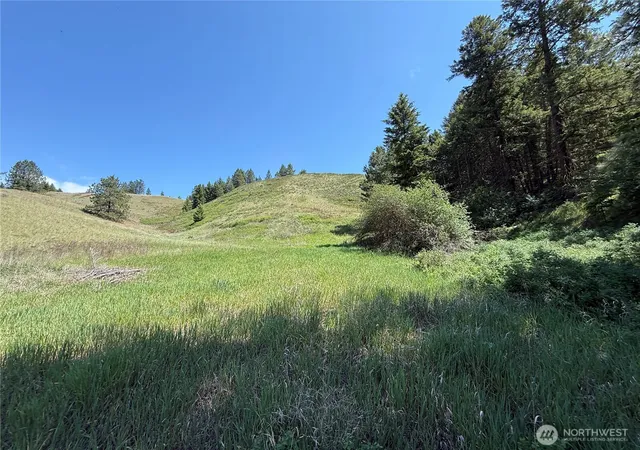 Photo 3 of Land for sale at 0 Art Crk Rd, Malo, WA 99150 | MLS# NWM2531490 | Listing updated on 2026-09-21