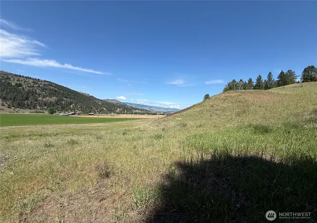 Photo 4 of Land for sale at 0 Art Crk Rd, Malo, WA 99150 | MLS# NWM2531490 | Listing updated on 2026-09-21