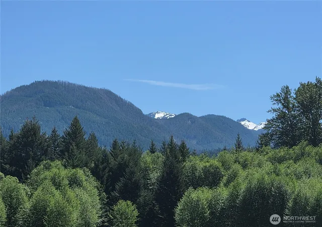 Photo 2 of Land for sale at 131 Campfire Ln, Packwood, WA 98361 | MLS# NWM2531521 | Listing updated on 2026-09-21
