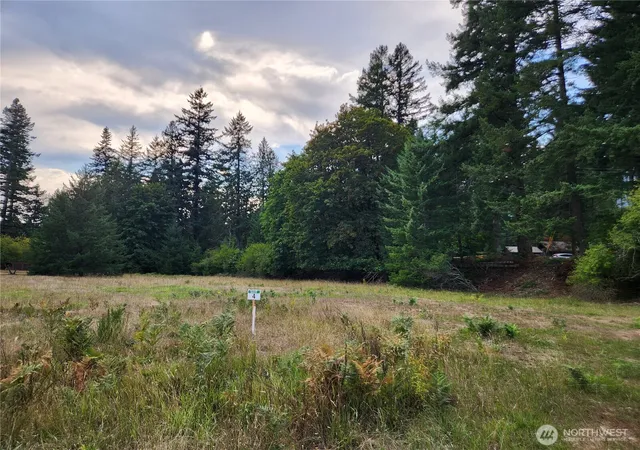 Photo 3 of Land for sale at 131 Campfire Ln, Packwood, WA 98361 | MLS# NWM2531521 | Listing updated on 2026-09-21