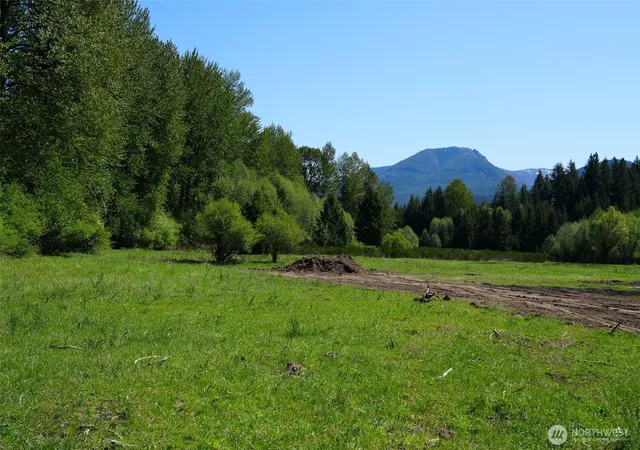 Photo 4 of Land for sale at 131 Campfire Ln, Packwood, WA 98361 | MLS# NWM2531521 | Listing updated on 2026-09-21