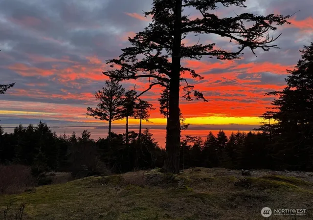 Photo 1 of Land for sale at 30 Rascal Rd, Friday Harbor, WA 98250 | MLS# NWM2531996 | Listing updated on 2026-09-21
