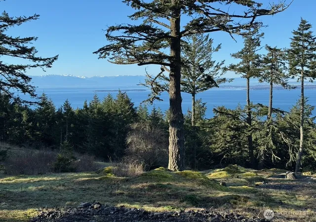 Photo 2 of Land for sale at 30 Rascal Rd, Friday Harbor, WA 98250 | MLS# NWM2531996 | Listing updated on 2026-09-21