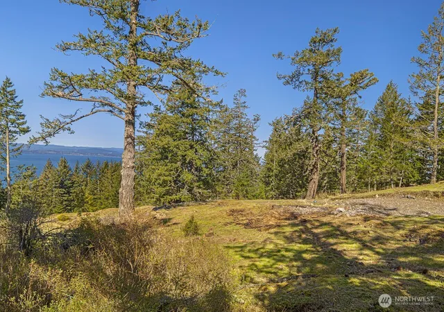 Photo 3 of Land for sale at 30 Rascal Rd, Friday Harbor, WA 98250 | MLS# NWM2531996 | Listing updated on 2026-09-21