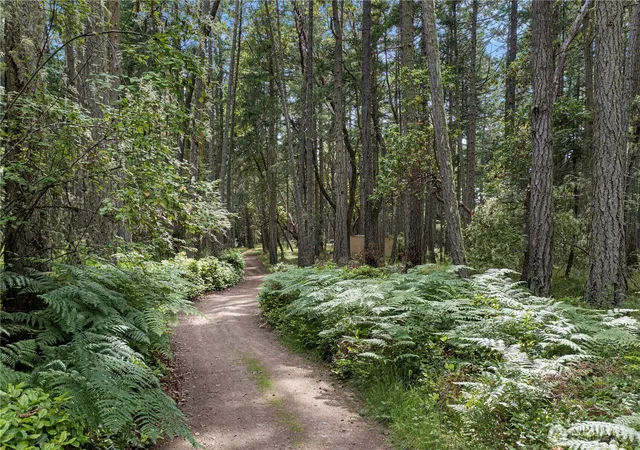 Photo 2 of Land for sale at 16 Driftwood Shrs, Friday Harbor, WA 98250 | MLS# NWM2532111 | Listing updated on 2026-09-21