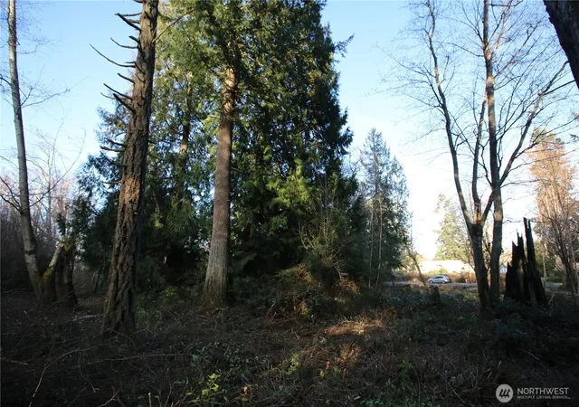 Photo 1 of Land for sale at 0 91st Avenue Sw, Vashon, WA 98070 | MLS# NWM2532175 | Listing updated on 2026-09-22