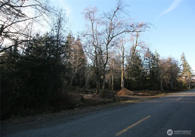 Photo 2 of Land for sale at 0 91st Avenue Sw, Vashon, WA 98070 | MLS# NWM2532175 | Listing updated on 2026-09-22