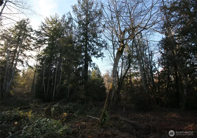 Photo 3 of Land for sale at 0 91st Avenue Sw, Vashon, WA 98070 | MLS# NWM2532175 | Listing updated on 2026-09-22