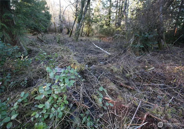 Photo 3 of Land for sale at 0 91st Avenue SW, Vashon, WA 98070 | MLS# NWM2532175 | Listing updated on 2026-09-22