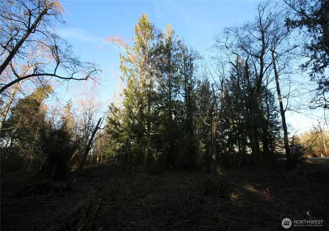 Photo 4 of Land for sale at 0 91st Avenue SW, Vashon, WA 98070 | MLS# NWM2532175 | Listing updated on 2026-09-22